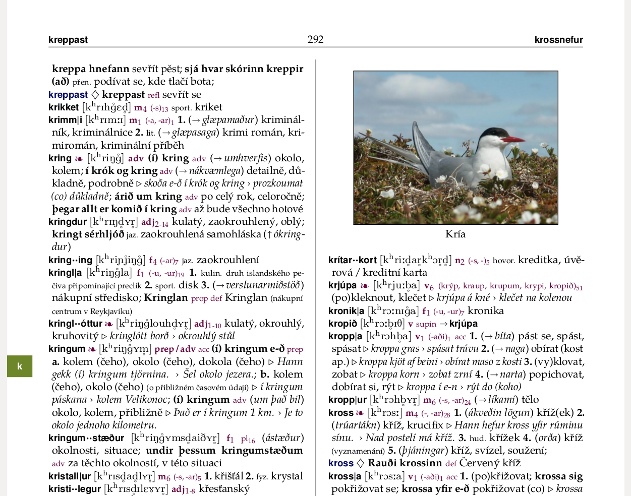 PDF layout slovníku