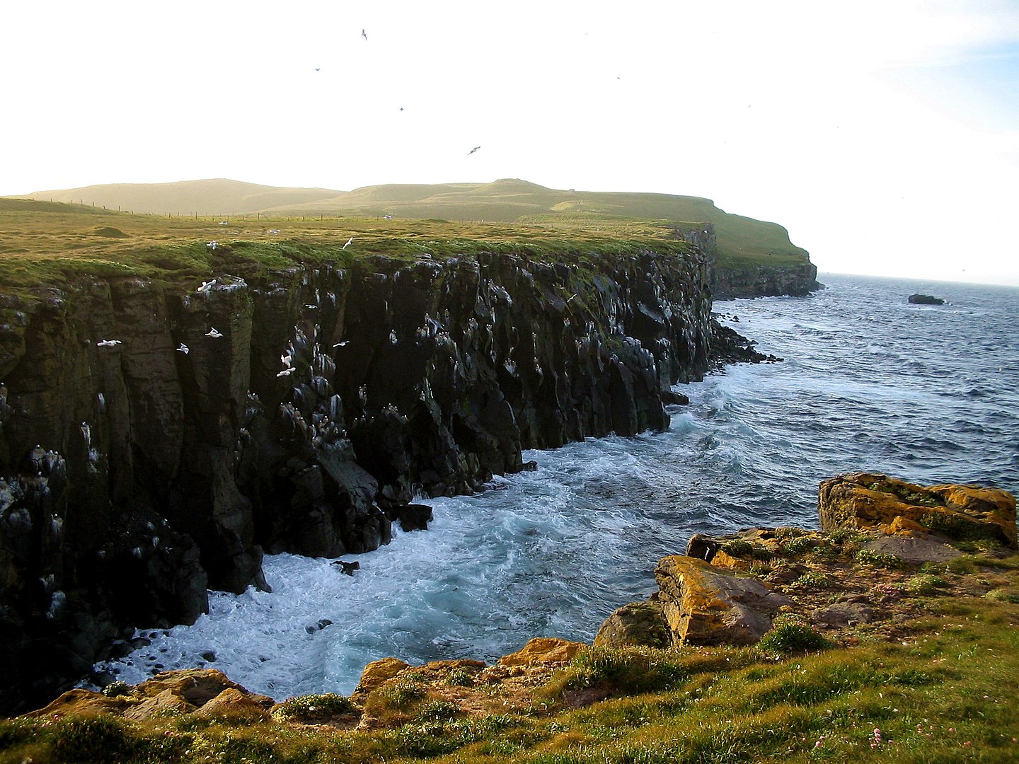 Grímsey